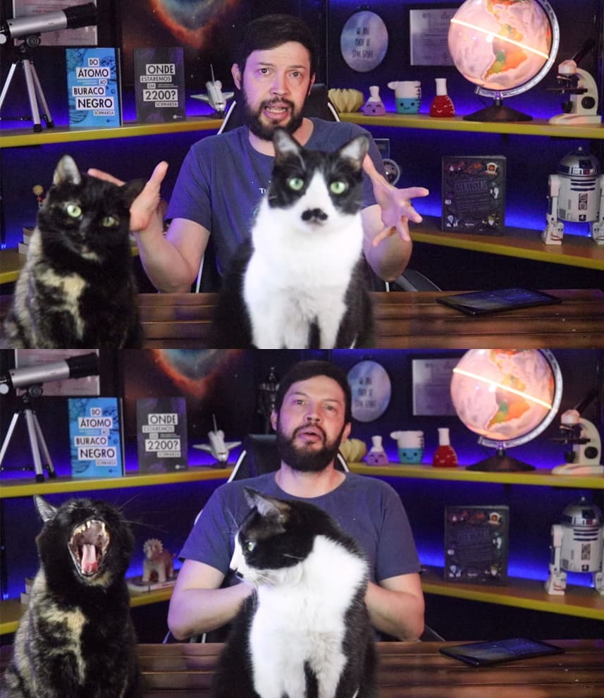 Divulgadores científicos do YouTube - Schwarza e seus gatos