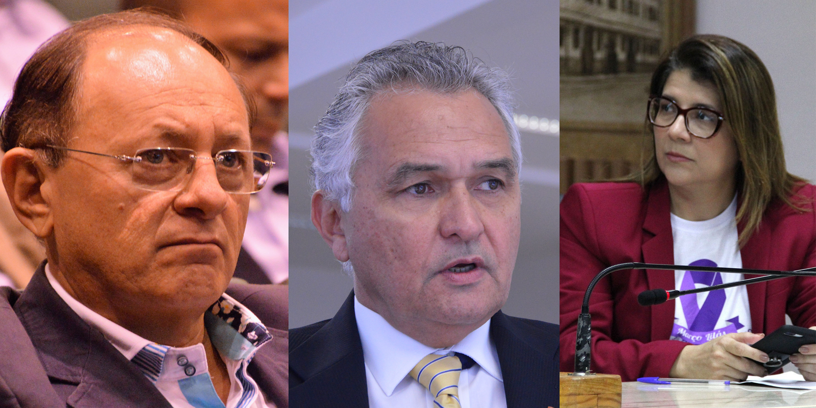 Favoráveis ao voto impresso