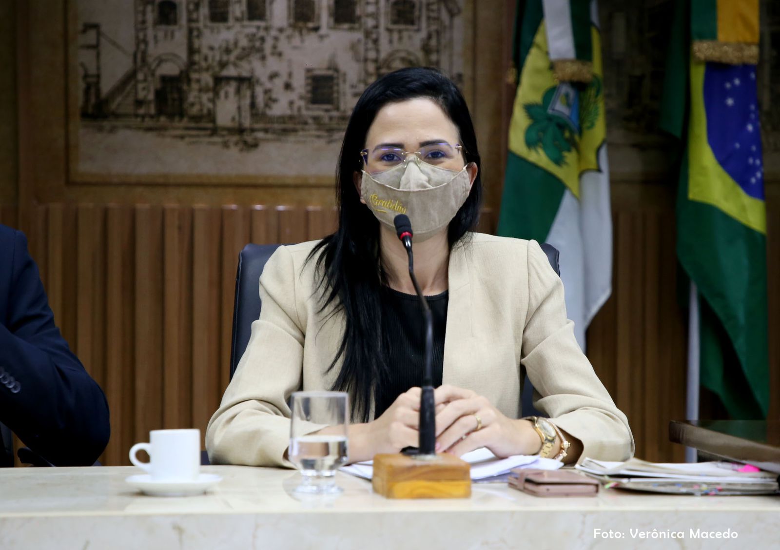 PL nº 291/2021 da Vereadora Camila Araújo Câmara Municipal de Natal