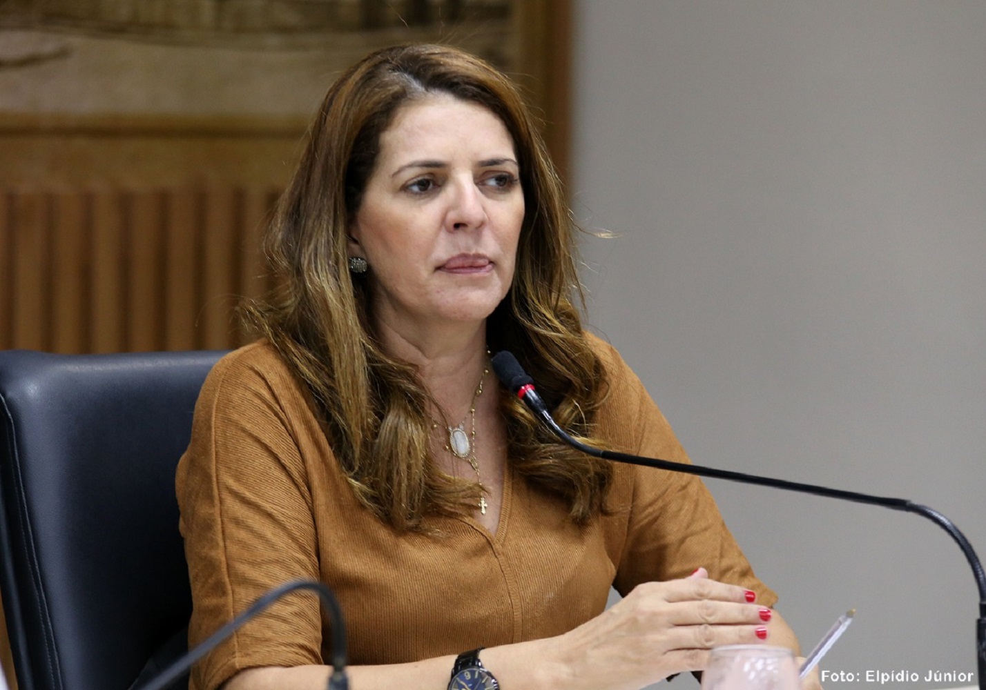 Vereadora Nina deixa liderança do prefeito Álvaro Dias na Câmara Municipal de Natal; leia a nota oficial