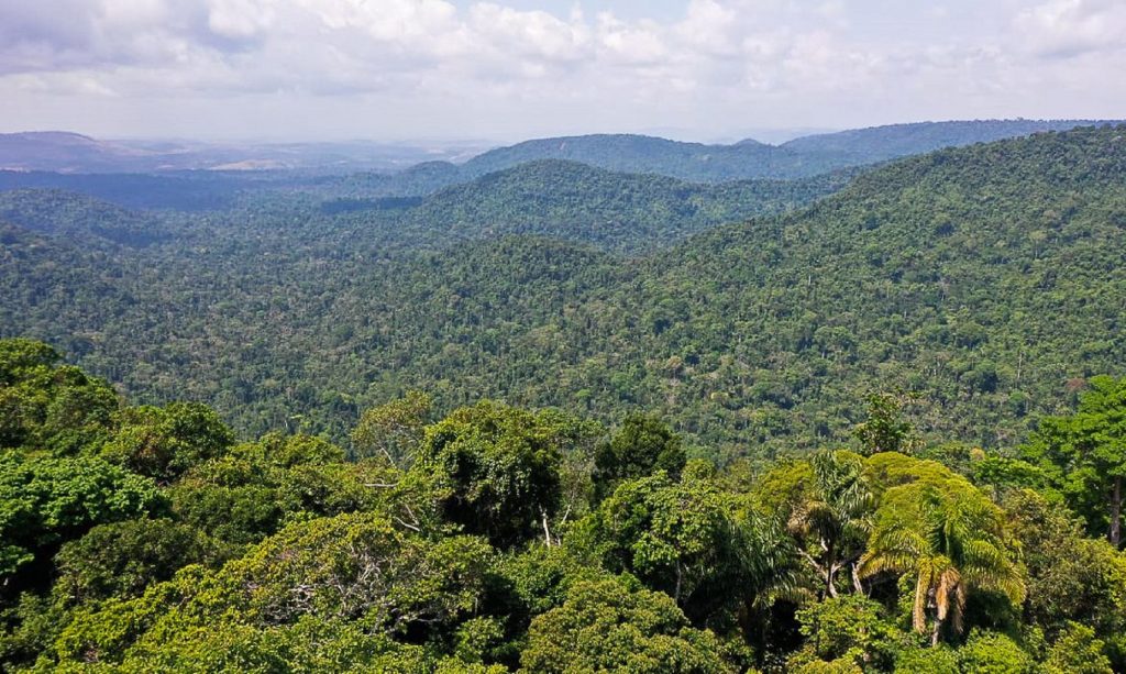 Inpe aponta que desmatamento na Amazônia Legal aumentou 21,97% em 2021