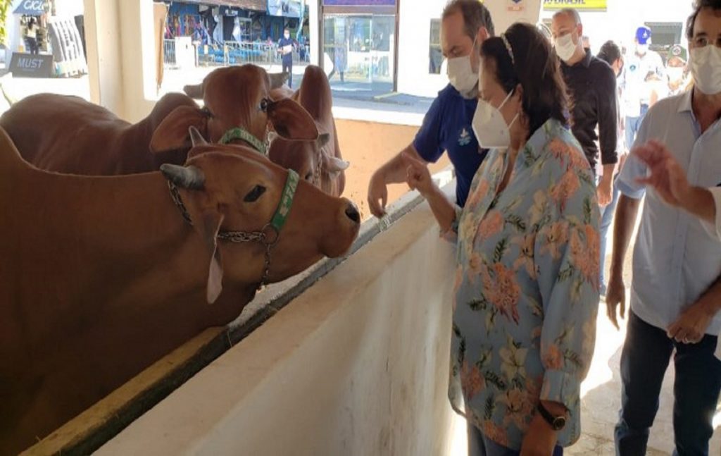 Produtores da pecuária leiteira do RN recebem kit de inseminação durante Festa do Boi
