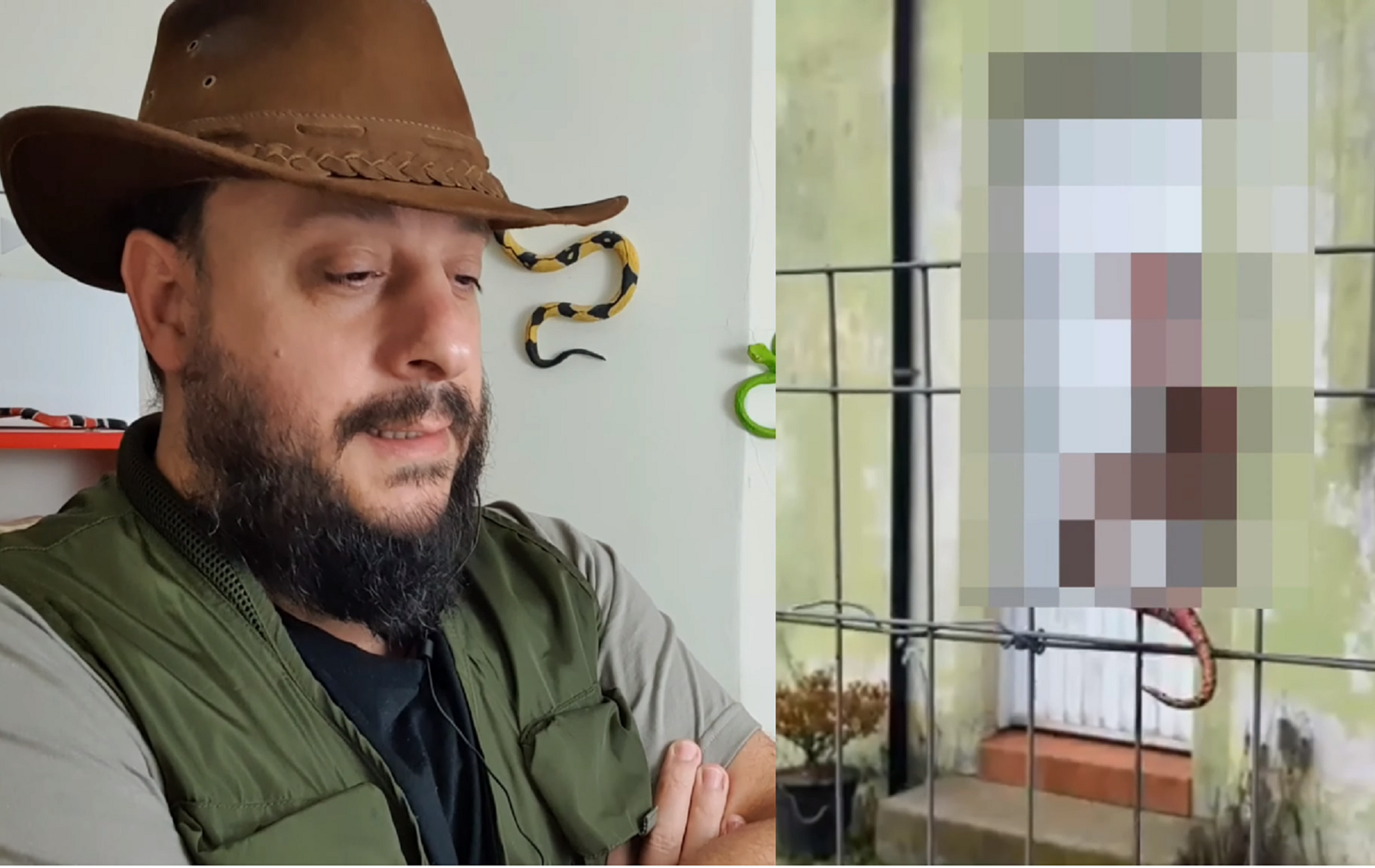 Atriz Marcela Fetter expõe cobra inofensiva sem cabeça ao dizer que 'vai matar todas as serpentes'; biólogo Henrique explica