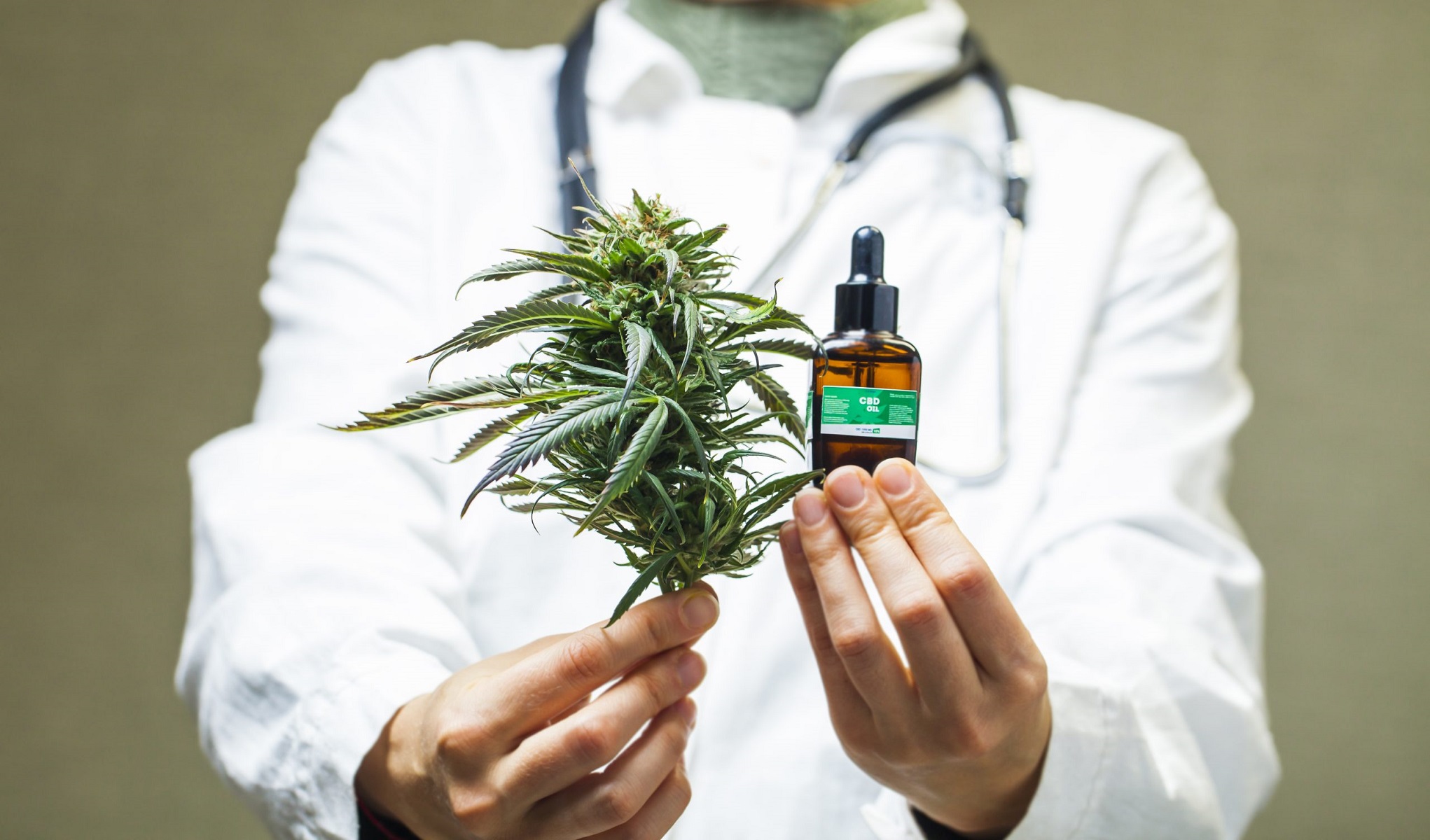 Governo do Estado aprova tratamento com Cannabis medicinal no RN