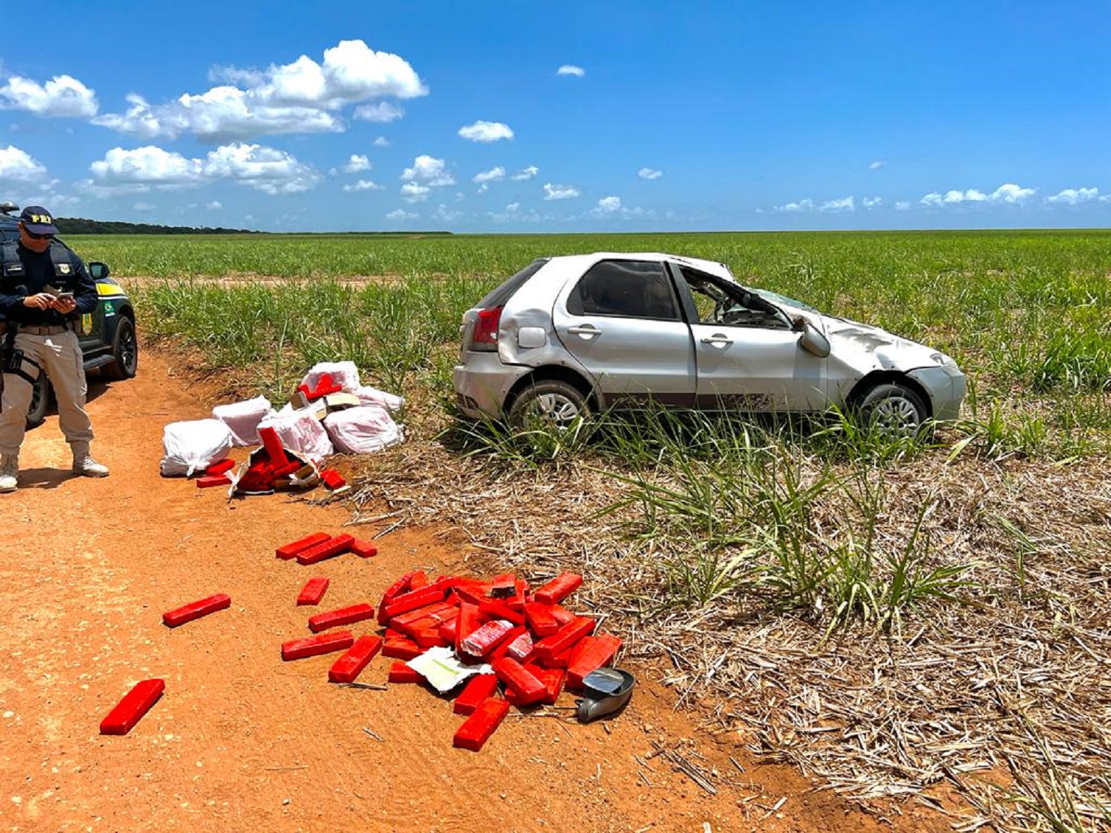 PRF persegue veículo e apreende 245 kg de maconha avaliada em R$ 700 mil em São José de Mipibu
