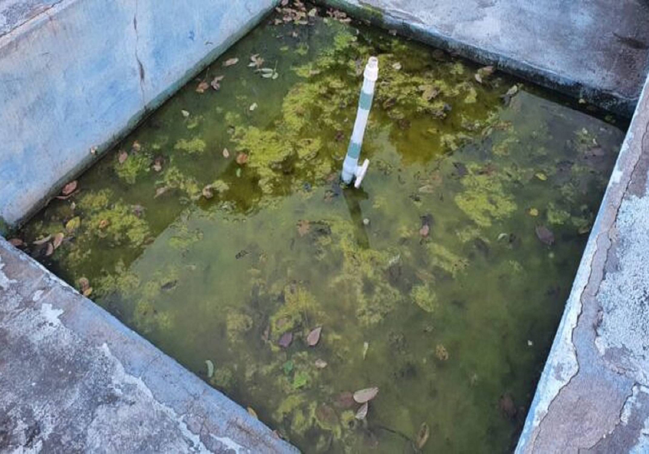 Abandonada, fonte luminosa em Ponta Negra acumula água parada em plena epidemia de dengue