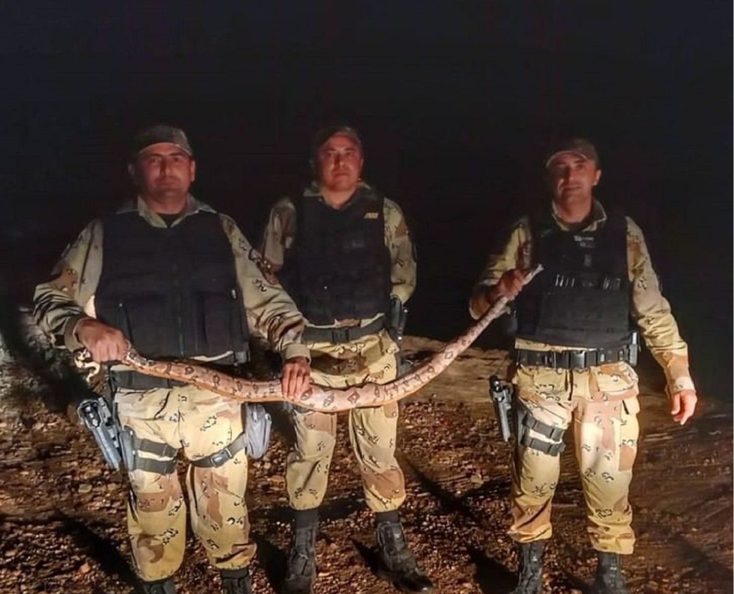 Policiais resgatam jiboia de 1,5m na cidade de Parelhas, no Seridó do RN