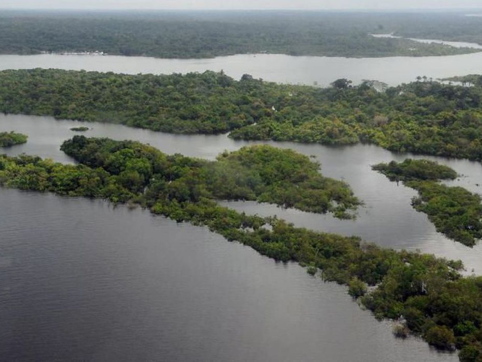 Preservação da Amazônia é prioridade do governo eleito na COP27, afirma Alckmin