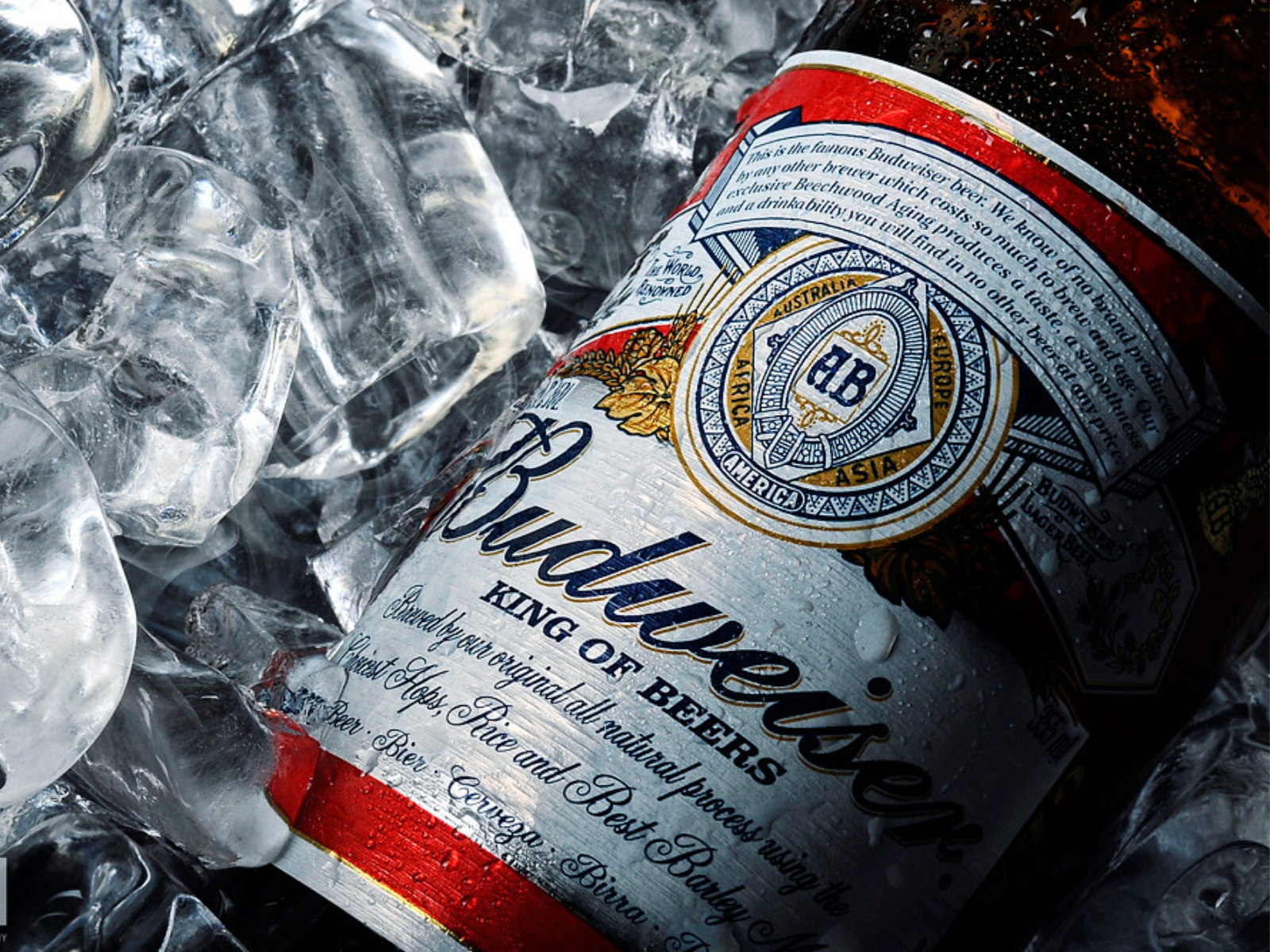 Qatar proíbe vendas de bebidas alcoólicas nos estádios da Copa do Mundo