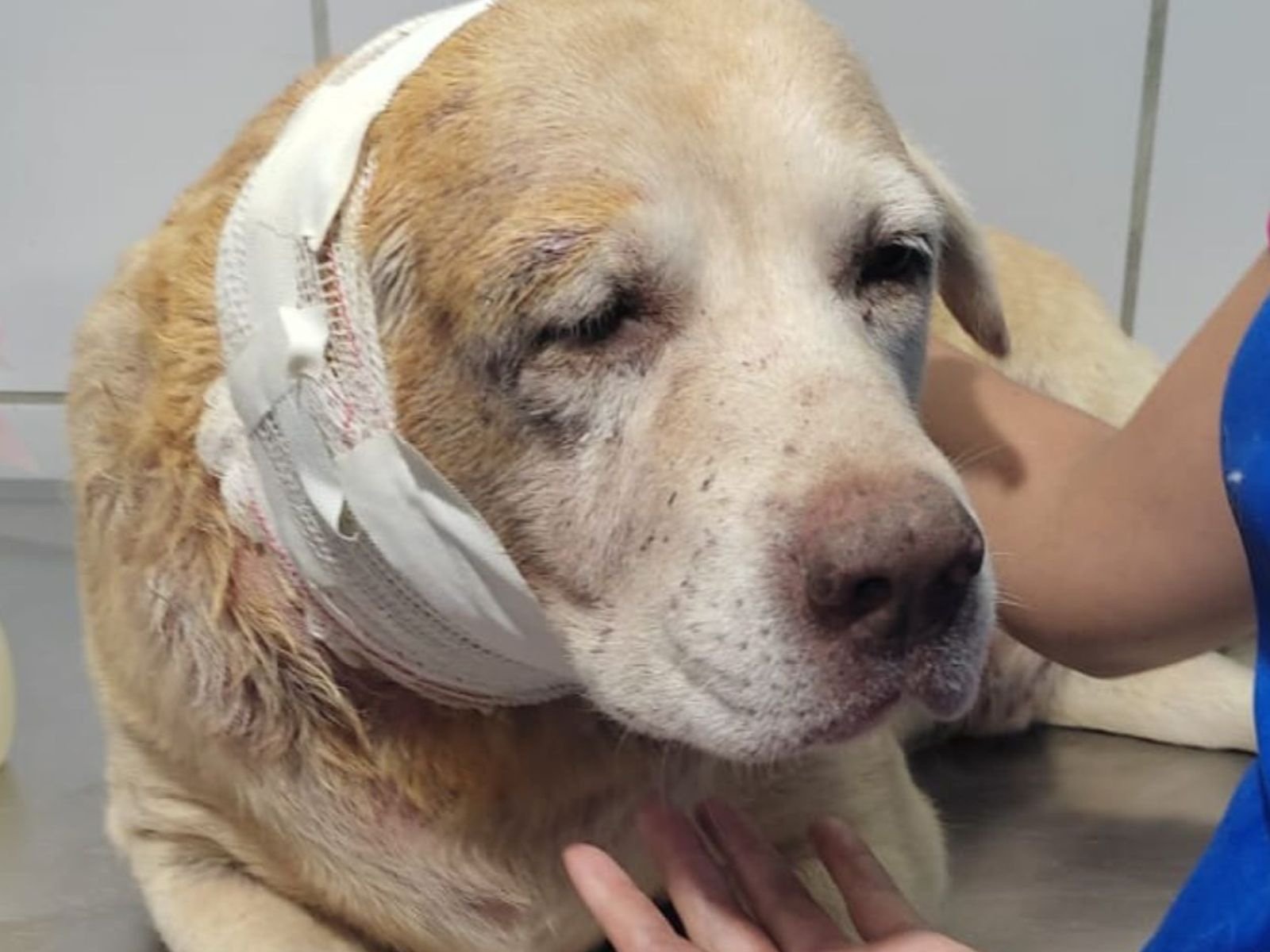 12646a80 a978 4422 b9e4 4993c2feb36c