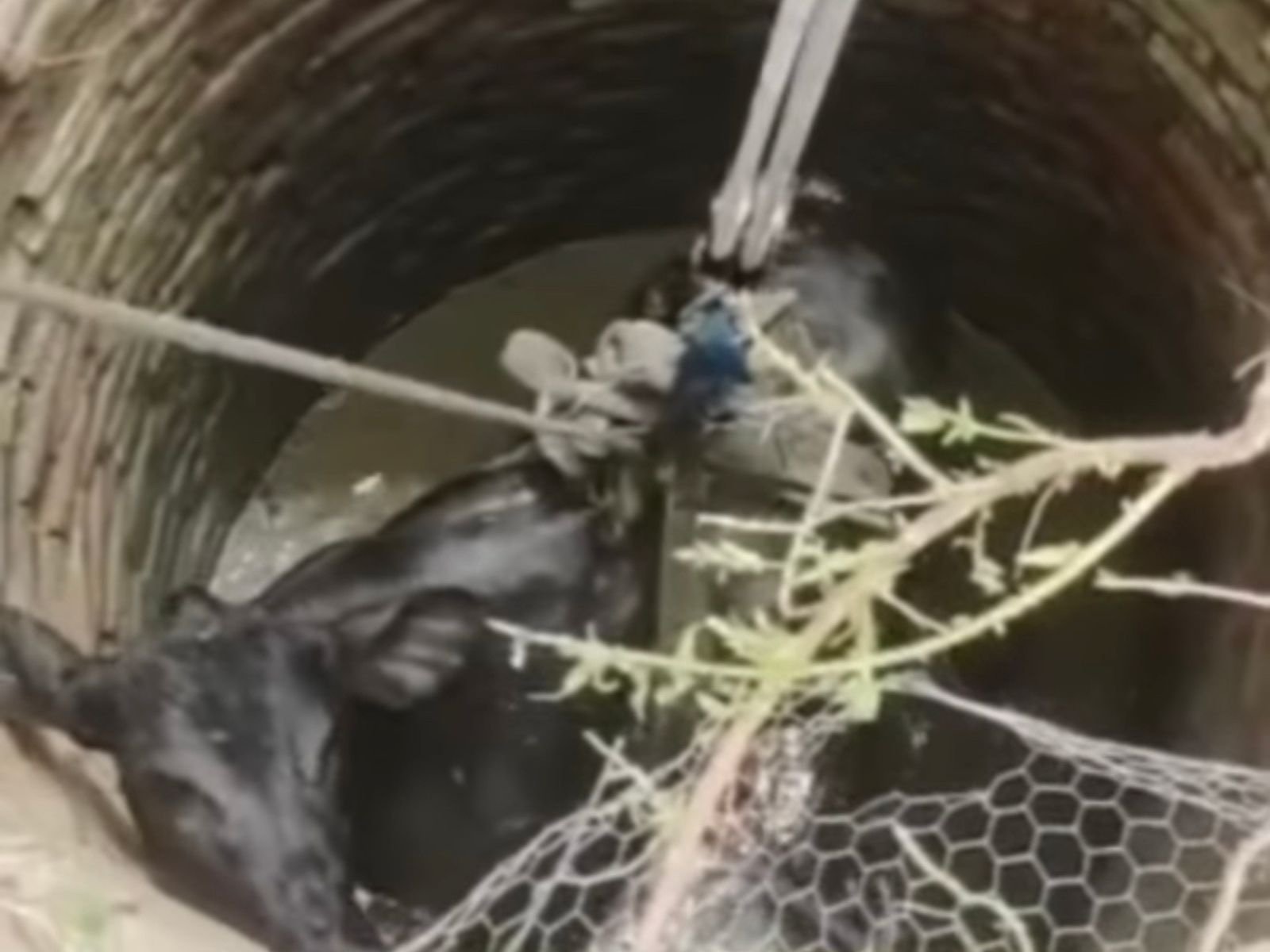 ba4340a8 53b2 4e0f 8438 49b2f0d8ec98