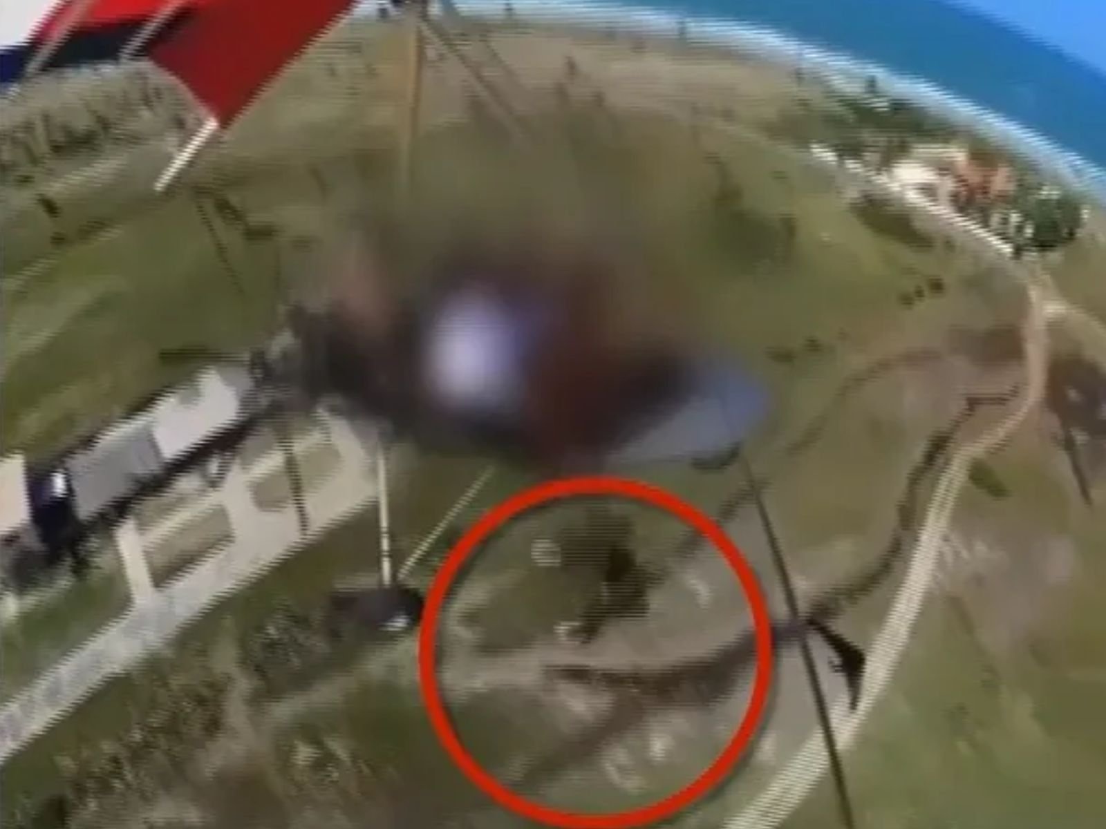 Homens arremessam galo durante voo de asa delta no litoral do RN e são denunciado por maus tratos