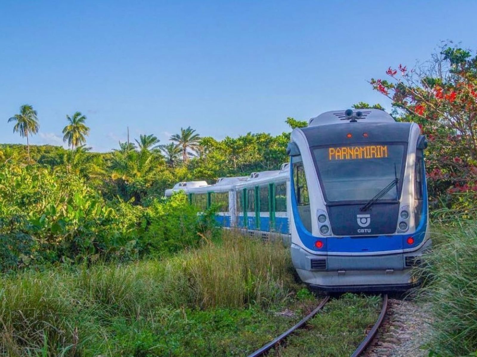 Mulher é atropelada pelo VLT em Natal