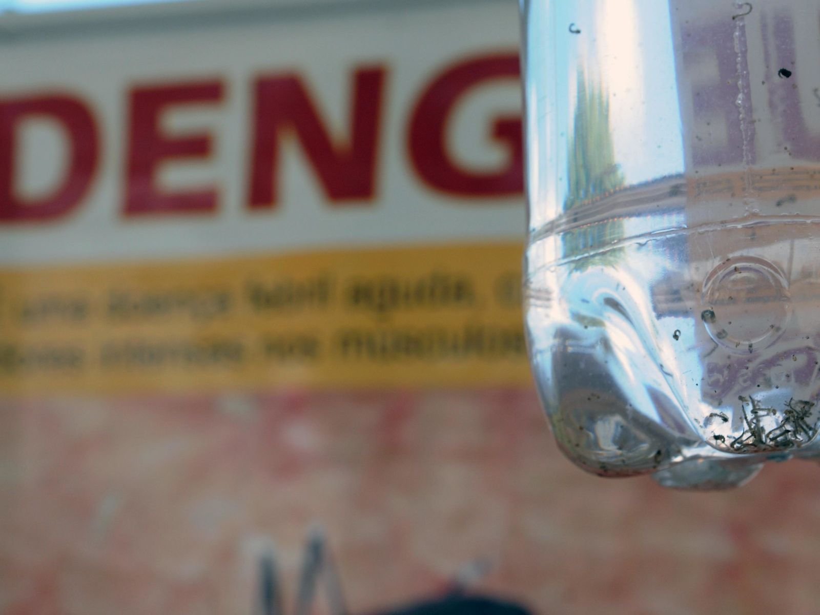 RN registra primeira morte por dengue em 2024