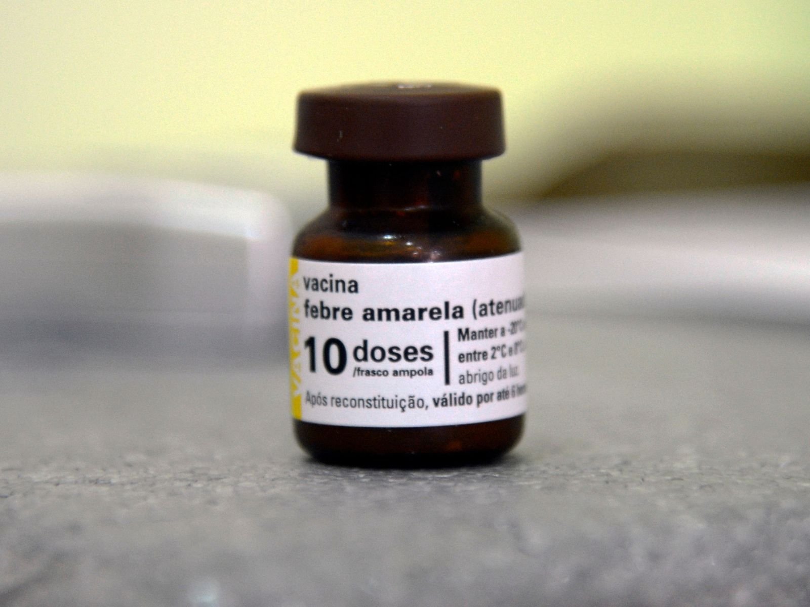 SP já tem mais mortes por febre amarela neste ano do que em todo 2024