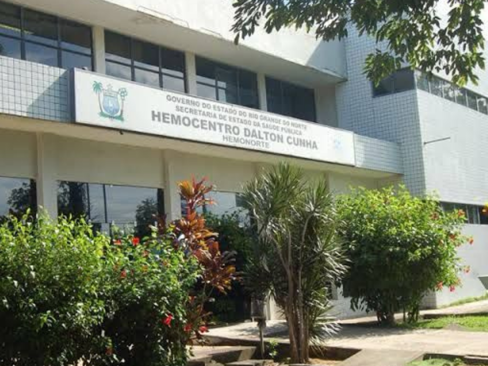 Hemonorte opera com apenas 12,5% do estoque necessário de sangue