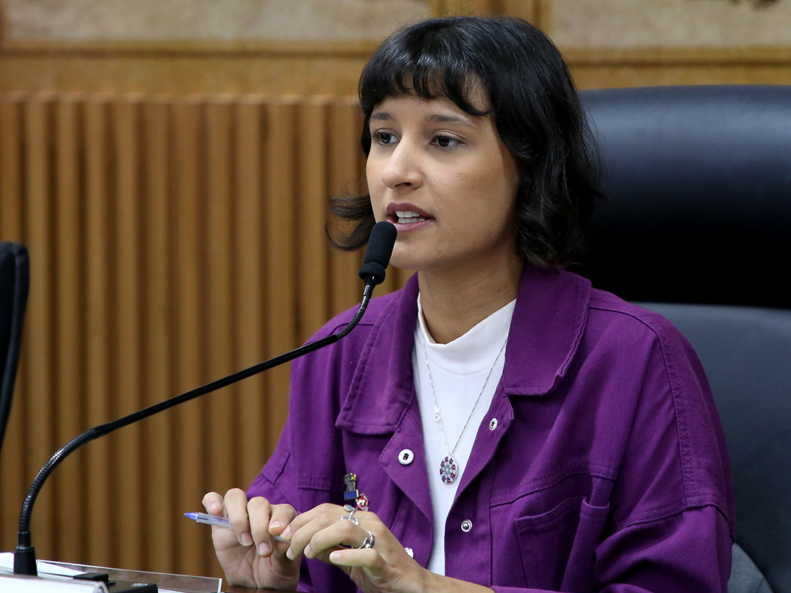 Comissão da Câmara segue apuração e aguarda defesa final de Brisa Bracchi