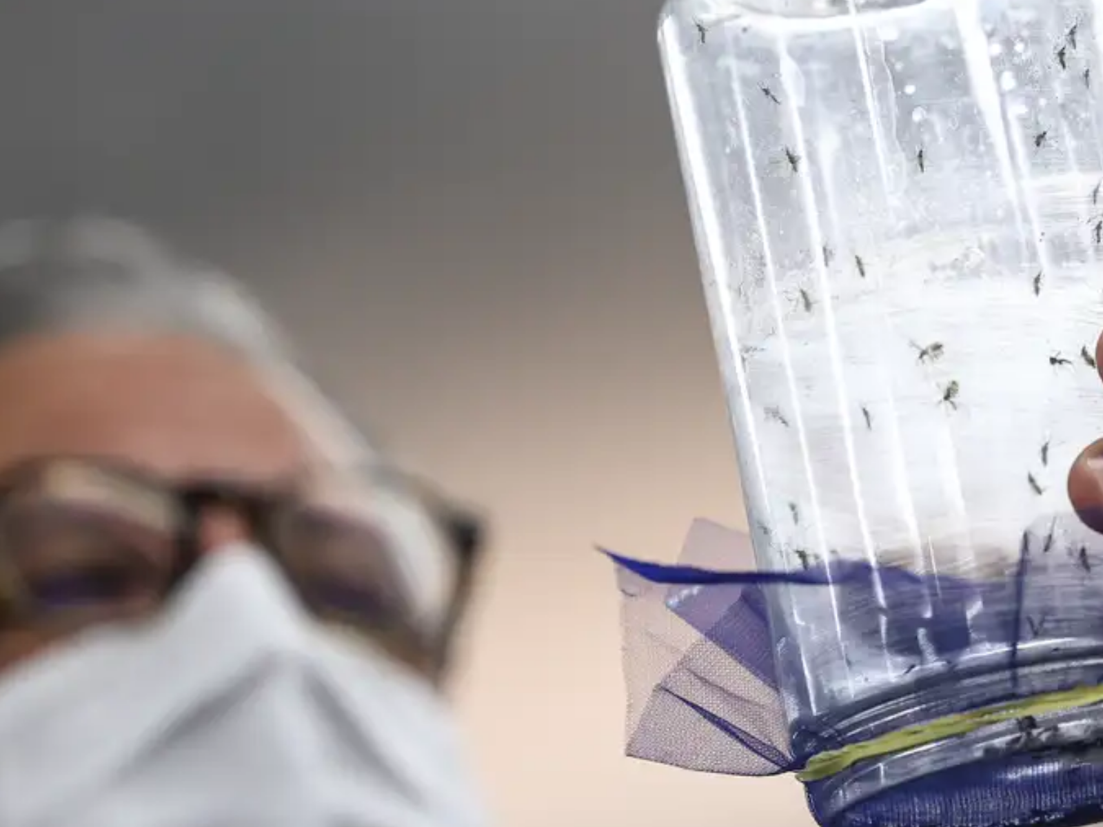 Ministério da Saúde intensifica mobilização contra dengue no Brasil