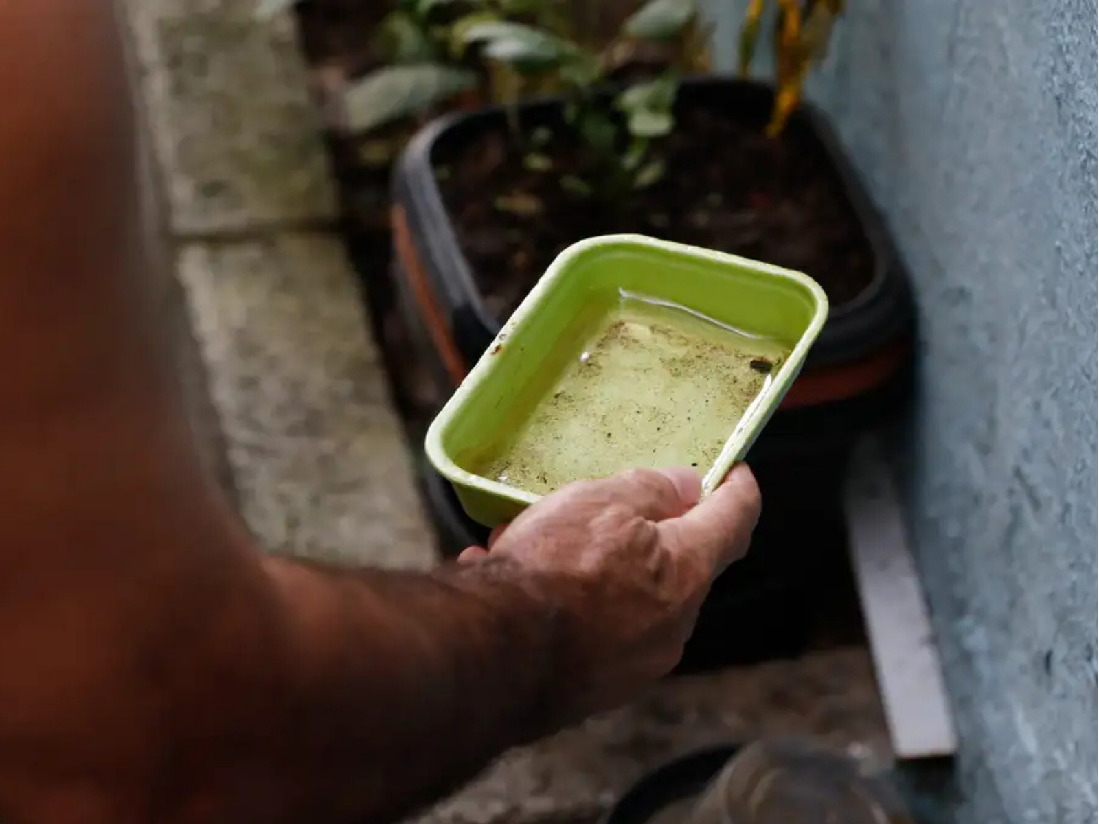 Número de casos de dengue cai 45% no RN, mas alerta continua