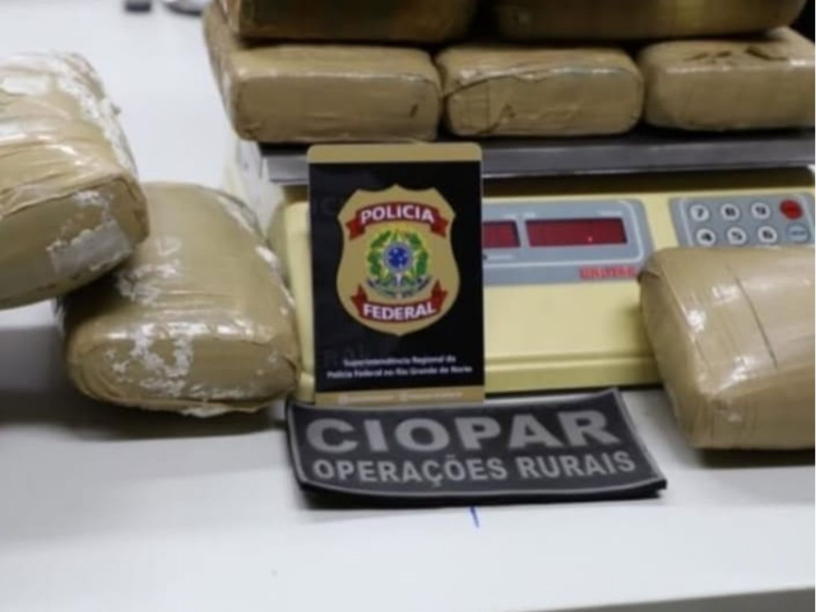 Ação conjunta apreende 20 quilos de maconha na zona rural de Angicos