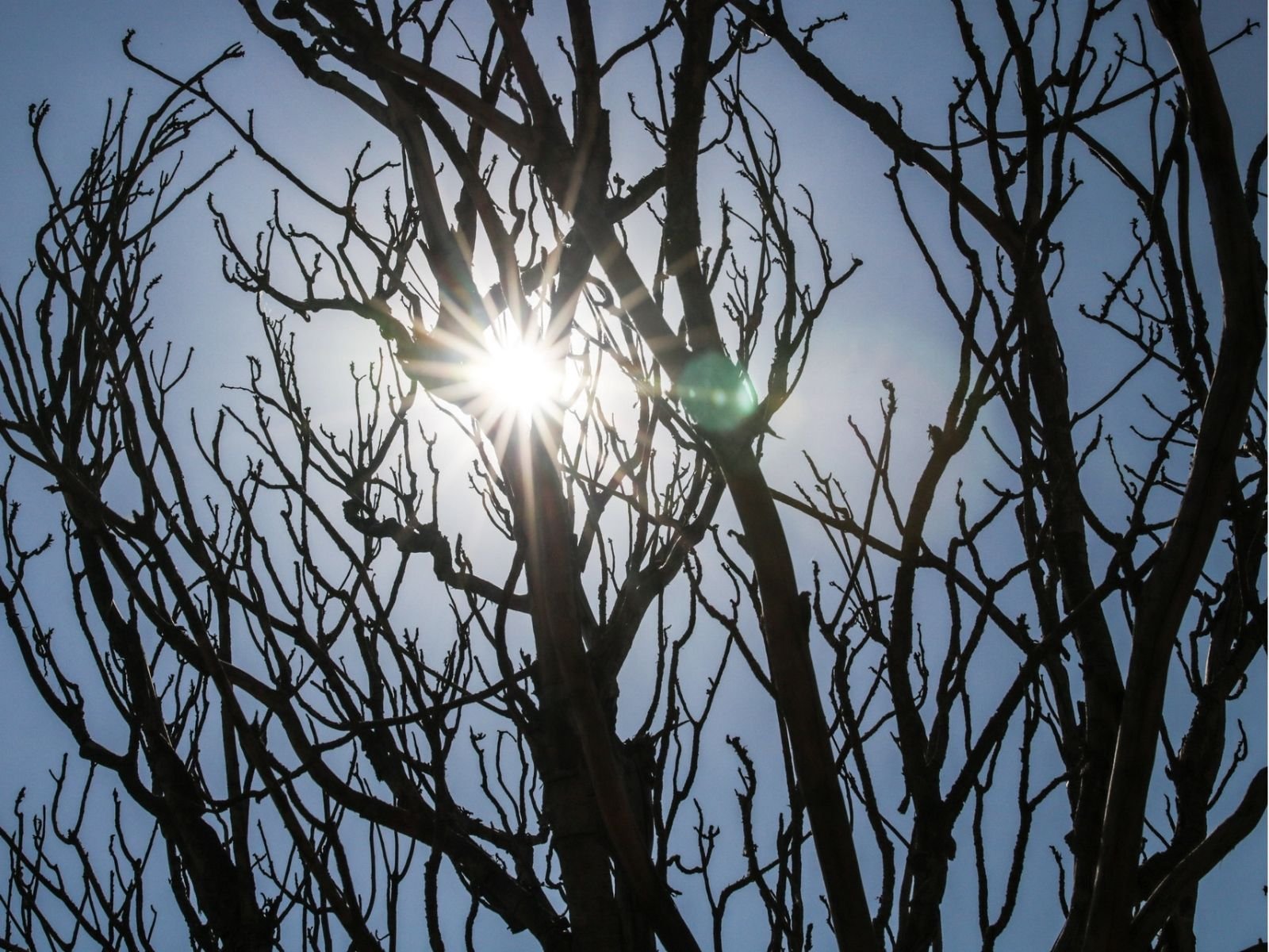 Congresso derruba 52 vetos ao PL do Licenciamento Ambiental; veja como votou a bancada do RN
