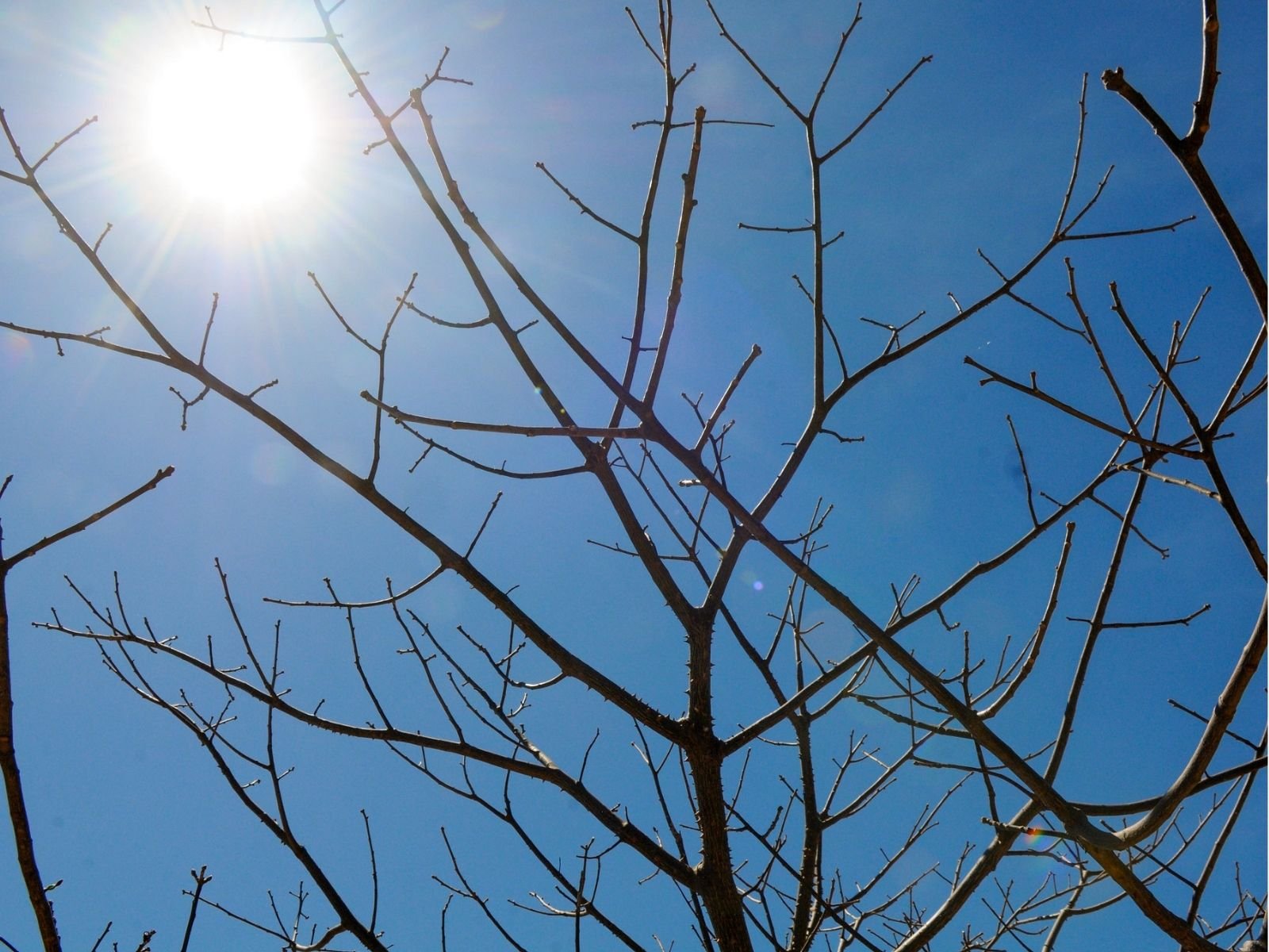 Inmet emite alertas de baixa umidade para mais de 100 cidades do RN